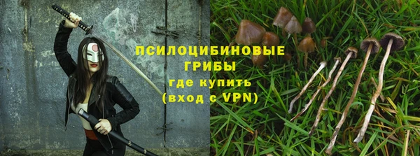 a pvp Абаза