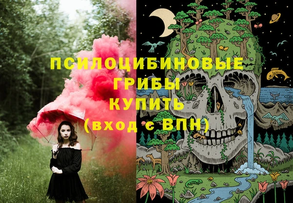 хмурый Алексин